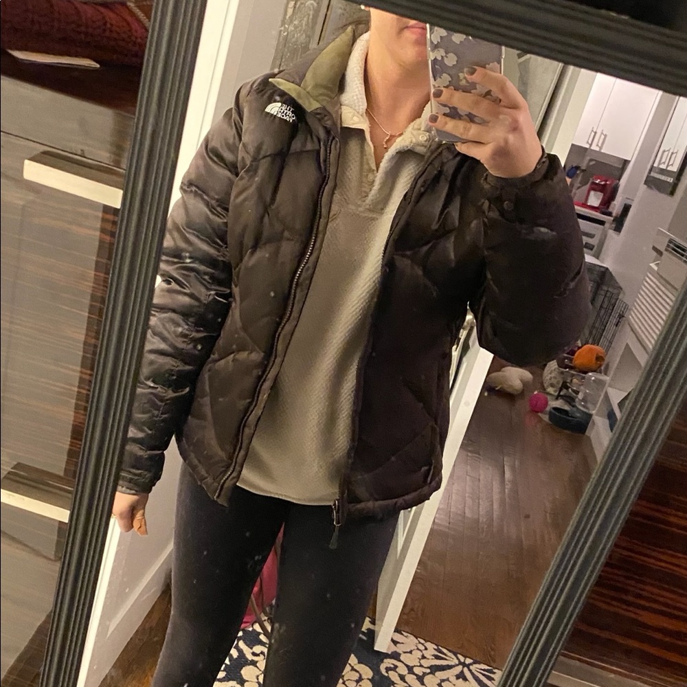 Brown North Face Winter Jacket - image 6